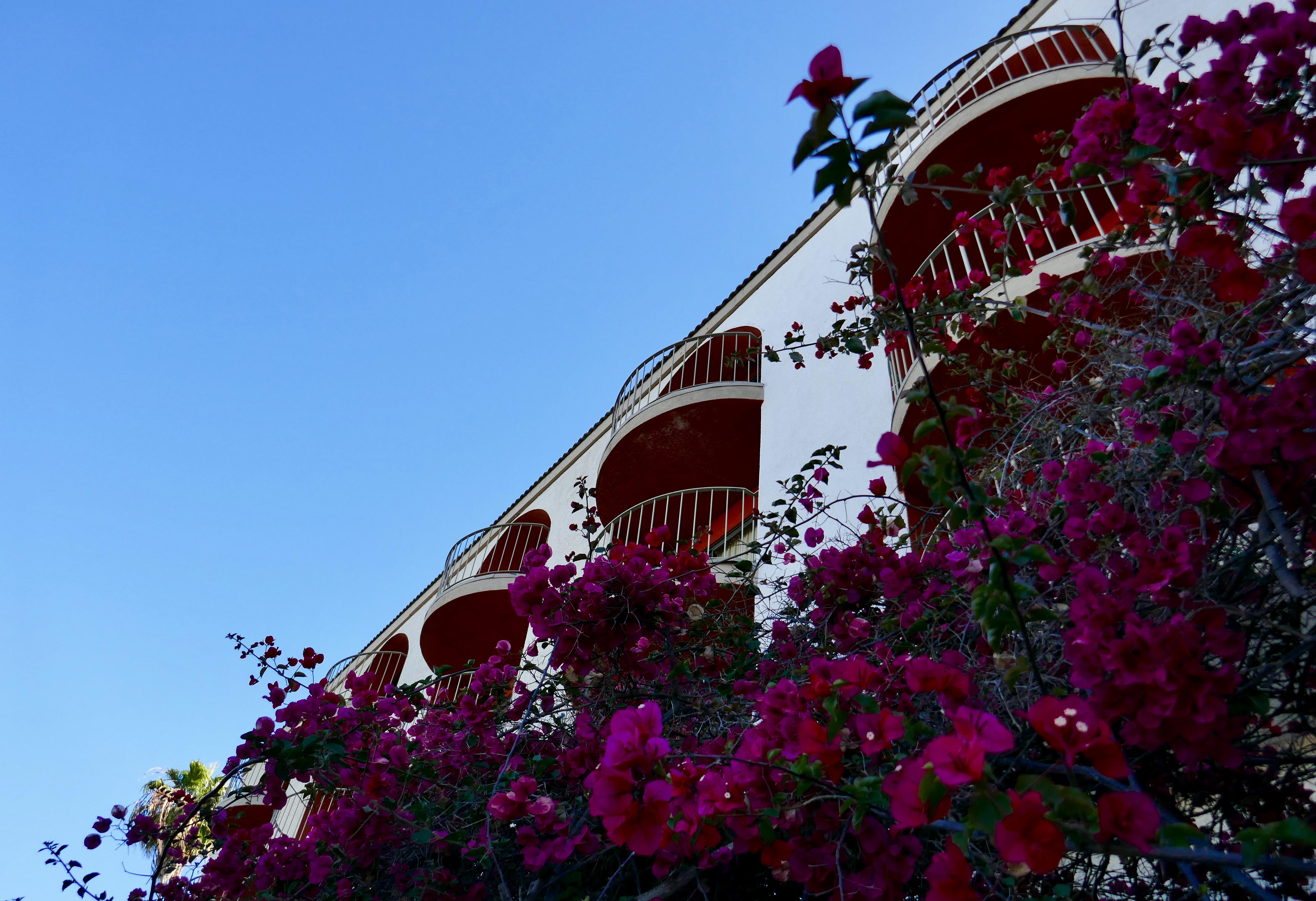 Best Western Golden Sails Hotel Long Beach Kültér fotó
